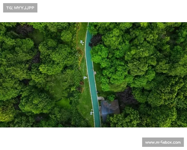 平台串联健身绿道与城市公园,塑造宜居宜游的体育生活圈。 平台串联健身绿道与城市公园,塑造宜居宜游的体育生活圈。